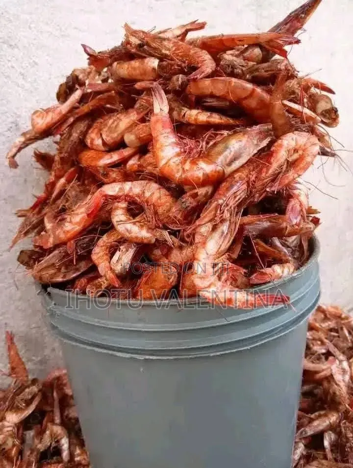 Crayfish for Sell
