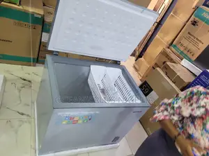Skyrun BD-260A Deep Freezer