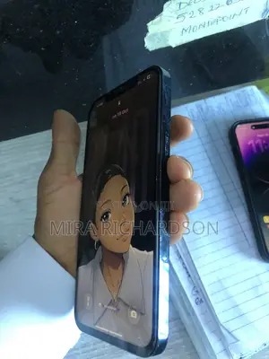 Apple iPhone 12 Pro Max 128 GB Gray
