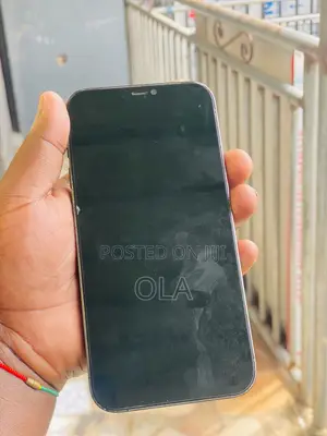 Apple iPhone 12 Pro Max 128 GB Black