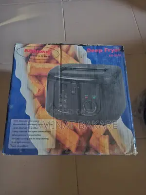 Electric Deep Fryer