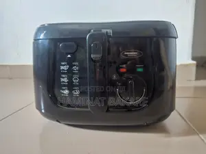 Electric Deep Fryer