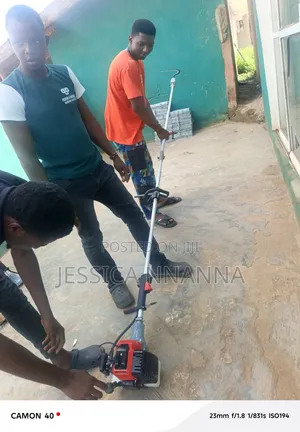 Palm Fruit Harvester
