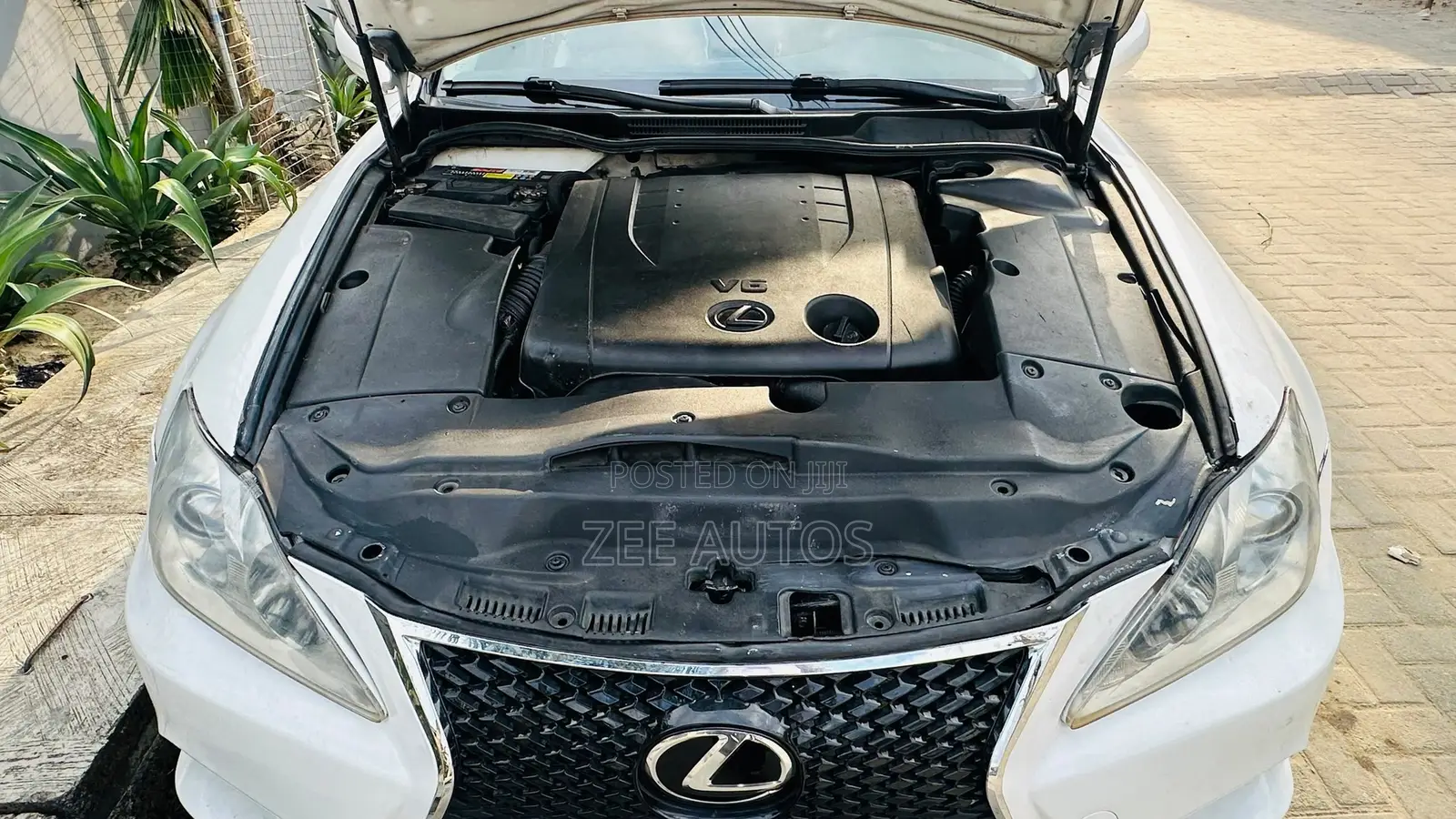 Lexus IS 2008 White