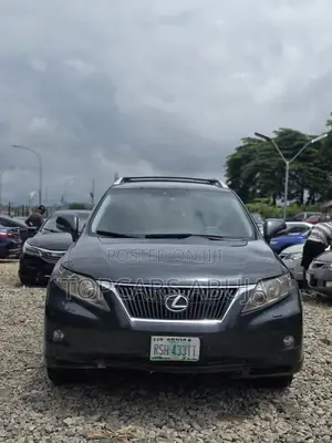 Lexus RX 2011 Gray