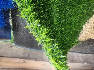 Spanish Quality Grass