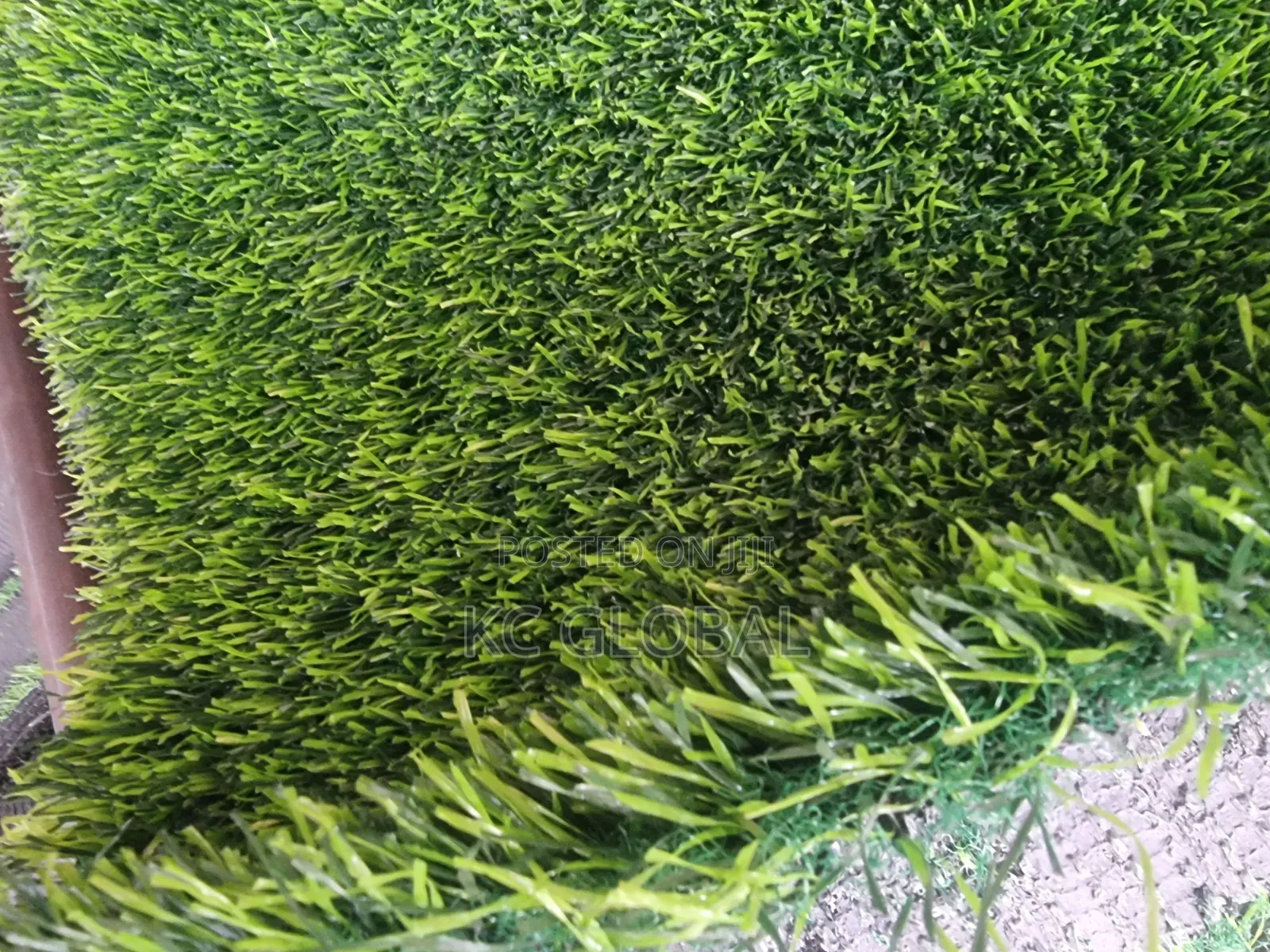 Spanish Quality Grass