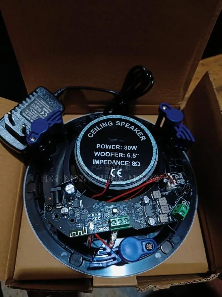 30w Single Bluetooth Ceiling Speaker