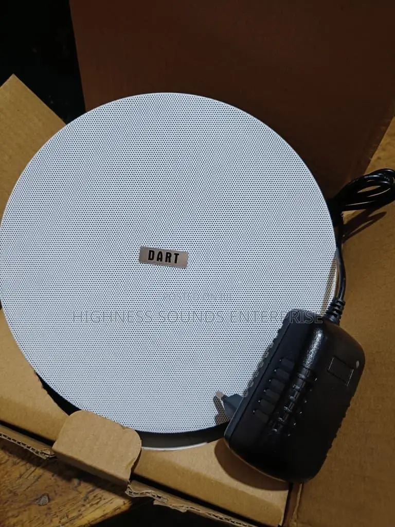 30w Single Bluetooth Ceiling Speaker
