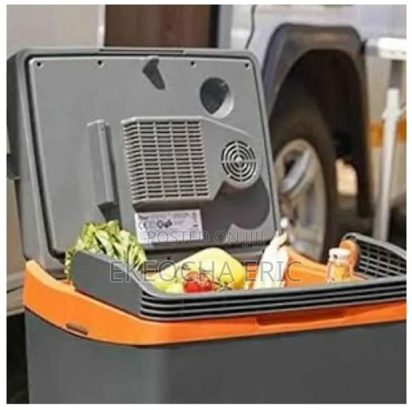 Electric Cooler