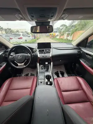 Lexus NX 300 AWD 2021 Gray