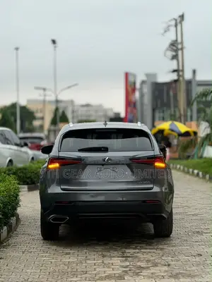 Lexus NX 300 AWD 2021 Gray