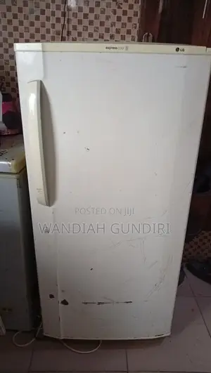 LG Express Cool LG Fridge