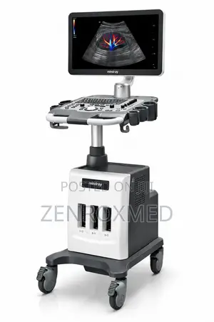 Mindray DC-30 Ultrasound System (2 Probes Included)