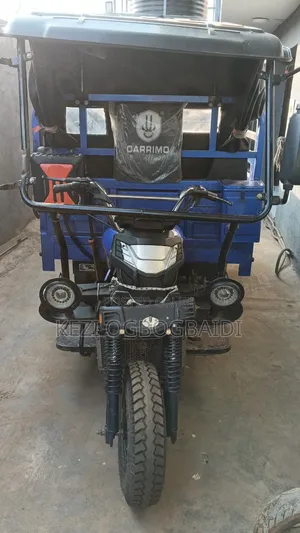 Tricycle 2025 Gray