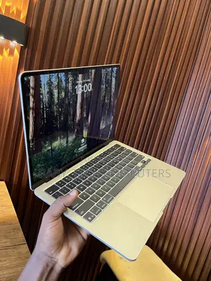 Laptop Apple MacBook Air 2025 M4 16GB Apple M4 SSD 256GB