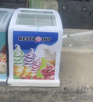 300l Restpoint Ice Cream Display Freezer