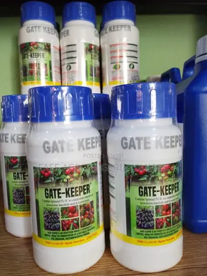 Gate Keeper