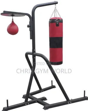 Dual-Station Heavy Bag and Speed Bag Boxing Stand