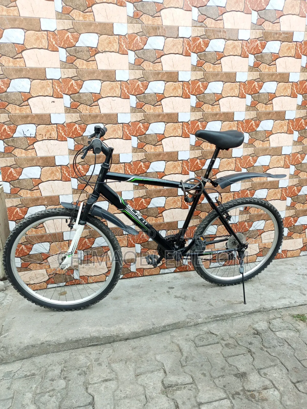 Adult Bicycle