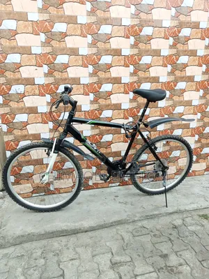 Adult Bicycle