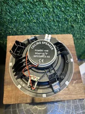 15watts Frameless Passive Ceiling Speaker