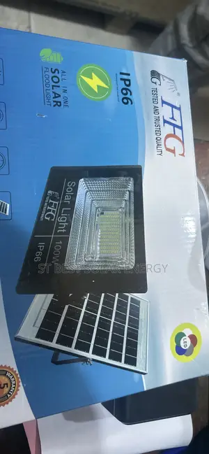 FFG 100W Solar Light