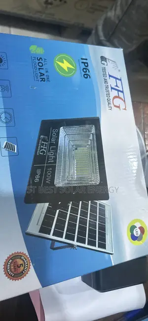 FFG 100W Solar Light