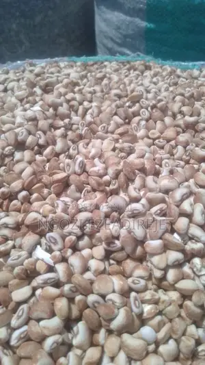 Nigeria Foreign Rice