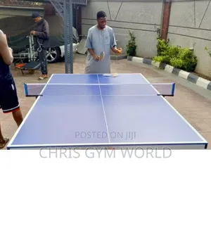 Foldable Outdoor Table Tennis (Ping Pong) Table With White Metal Legs