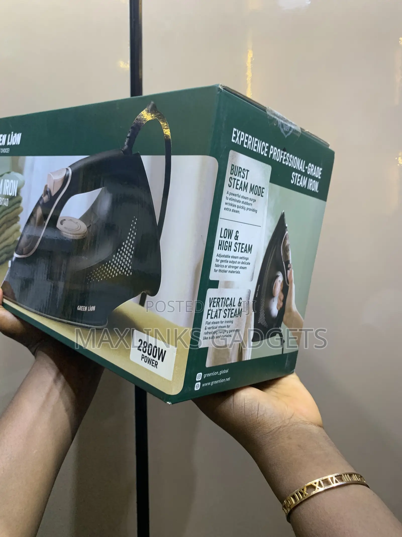 Original Green Lion Steam Iron