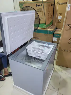 Skyrun BD-260A Deep Freezer for Families