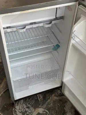 Skyrun 80L Freezer