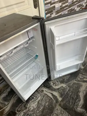 Skyrun 80L Freezer