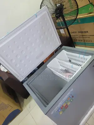 Skyrun BD-260A Frozen Food Storage Solution