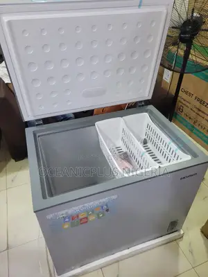 Skyrun 260-Litre Chest Freezer for Restaurants