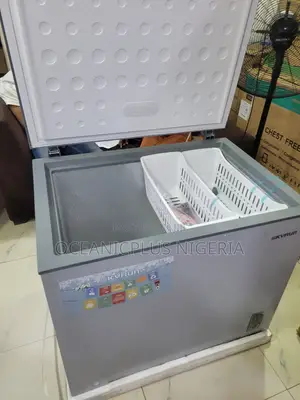 Skyrun BD-260A Freezer for Meat and Fish