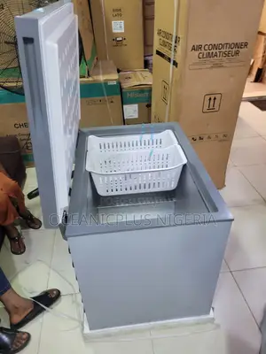 Skyrun BD-260A Energy-Conscious Chest Freezer