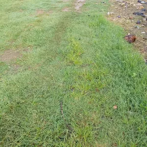 2.42 Hectares Resident Land at Duboyi