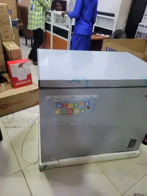 Skyrun 260L Freezer for Hotels and Restaurants