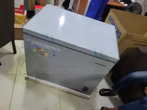 Skyrun 260-Litre Freezer for Commercial Use
