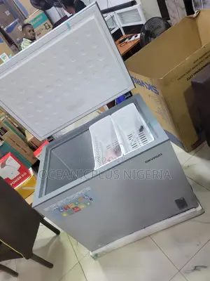 Skyrun BD-260A Freezer for Bulk Food Storage