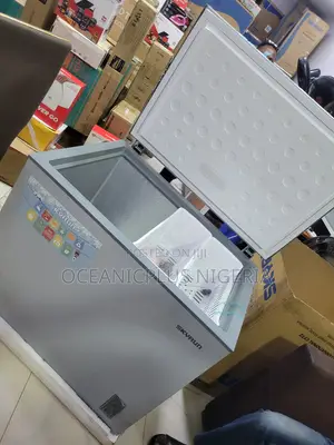 Skyrun BD-260A Freezer for Restaurants and Cafes