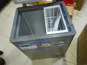 Skyrun BD 100HNW Chest Freezer for Daily Needs
