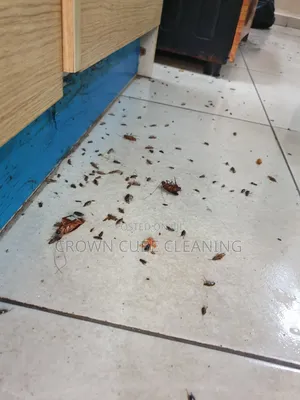 Fumigation Pest Control, Best Fumigation Services