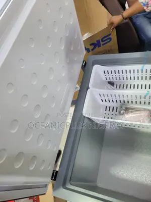 Skyrun BD-260A Spacious Deep Freezer