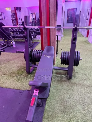 Commercial Adjustable or Multi-Position Workout & Bench Press Station