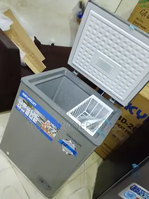 Skyrun 100L Chest Freezer for Home Convenience