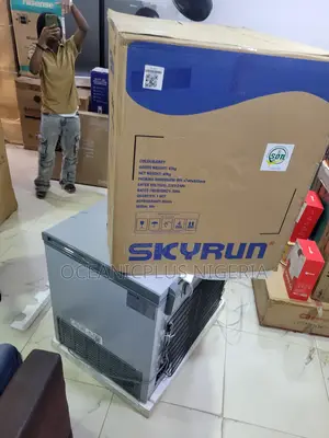Skyrun BD-260A Freezer for Bulk Shopping