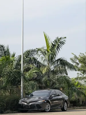 Toyota Camry XLE FWD (2.5L 4cyl 8AM) 2018 Gray